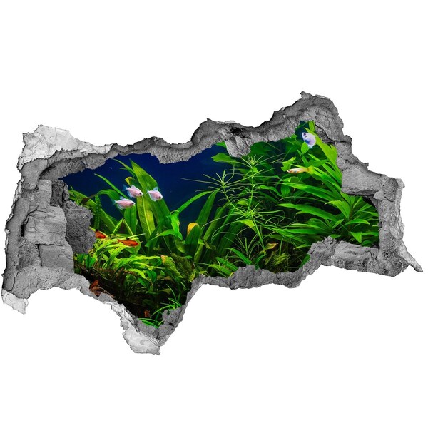 3d fali matrica lyuk a falban A víz alatti világ az akváriumban