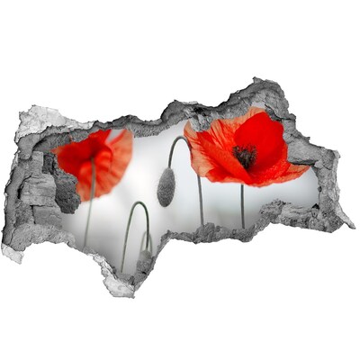 3d fali matrica lyuk a falban Virágok egy lyukban a falban