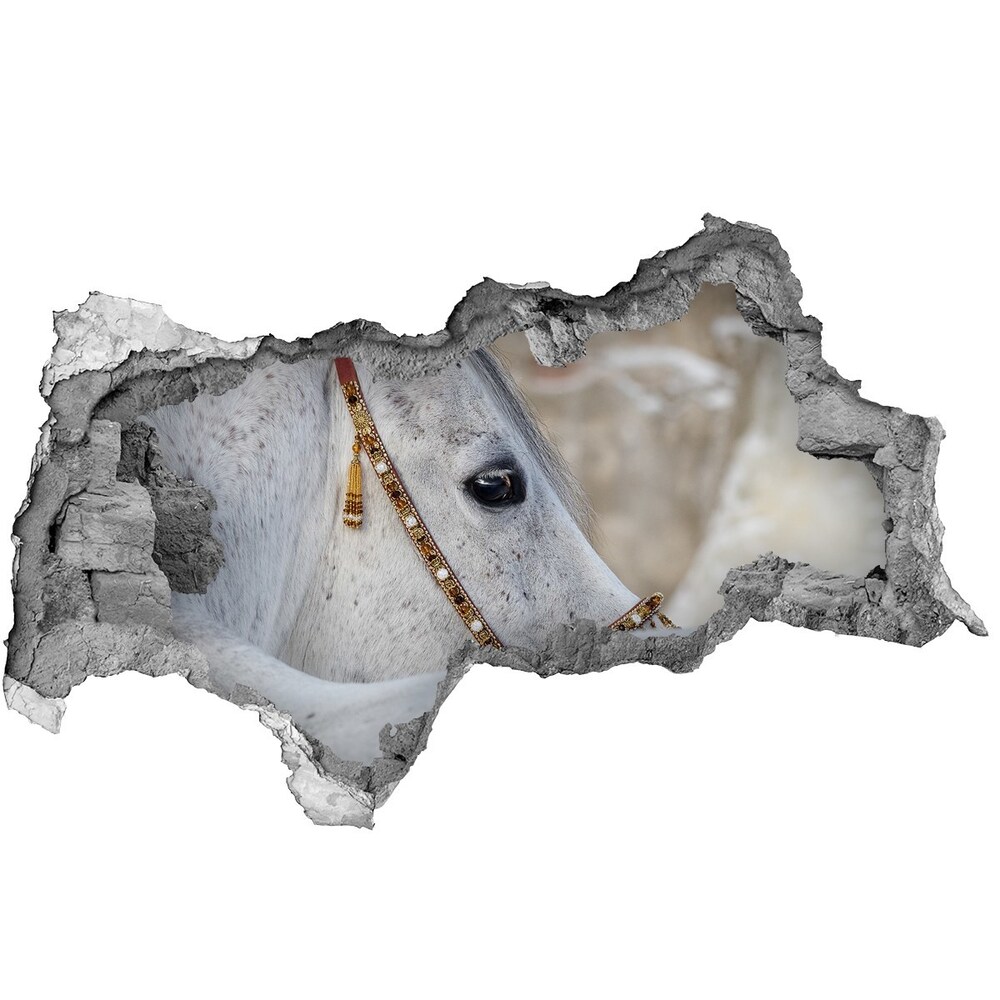 3d fali matrica lyuk a falban Fehér arab ló