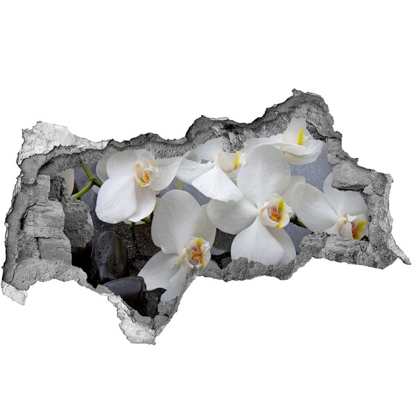 3d fali matrica lyuk a falban Orchidea