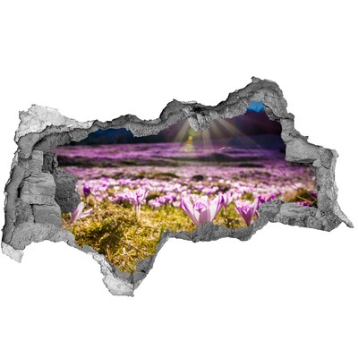 3d fali matrica lyuk a falban Virágos mező a napsütésben