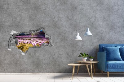 3d fali matrica lyuk a falban Virágos mező a napsütésben