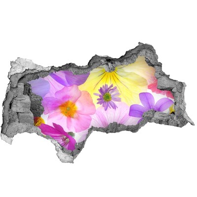 3d fali matrica lyuk a falban Virágparadicsom egy lyukon keresztül a falon