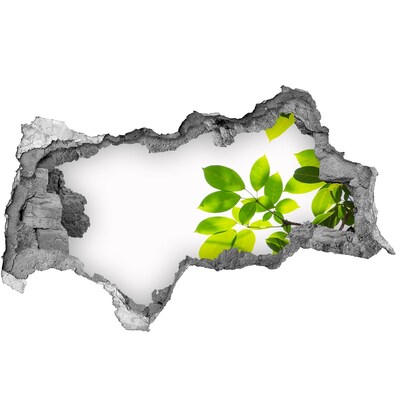 3d lyuk fal dekoráció Zöld oázis a fal mögött