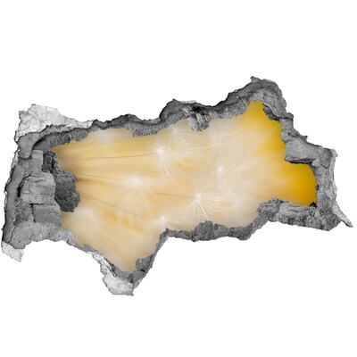 3d lyuk fal dekoráció Virágos tér a fal mögött