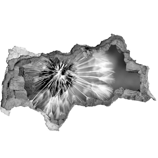 3d lyuk fal dekoráció Pitypangok fekete-fehérben