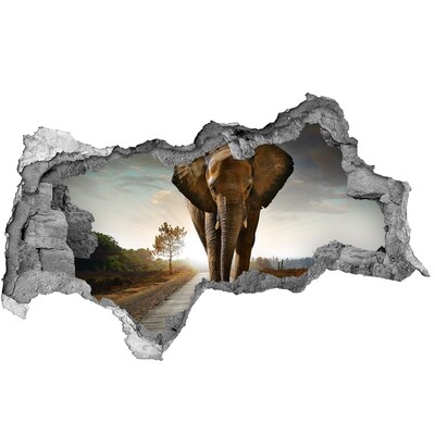 3d lyuk fal dekoráció Séta elefánt