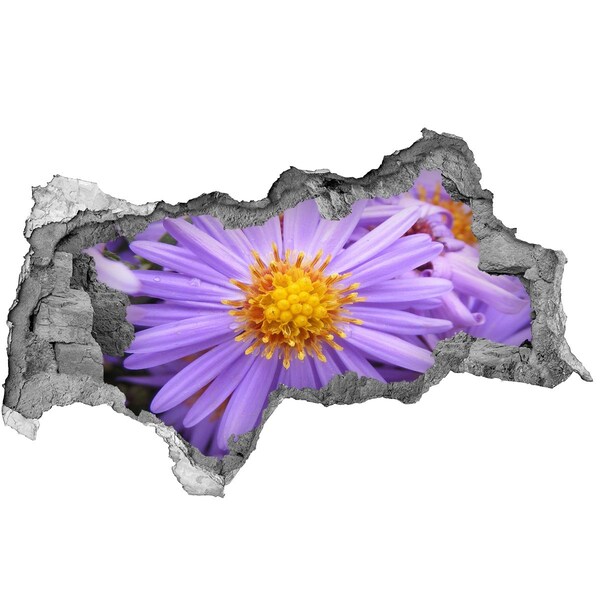 3d lyuk fal dekoráció Virág betonban