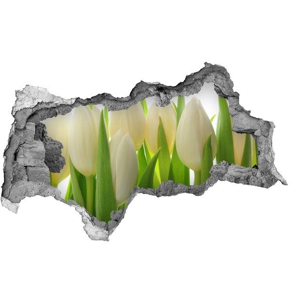 3d lyuk fal dekoráció Tulipánok a napfényben