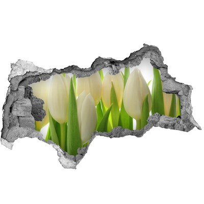 3d lyuk fal dekoráció Tulipánok a napfényben