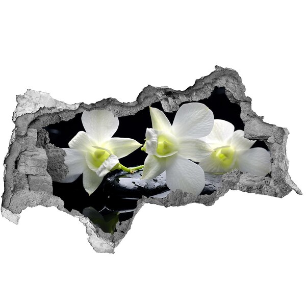 3d lyuk fal dekoráció Orchidea