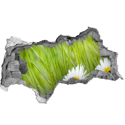 3d lyuk fal dekoráció Egy virág a zöld kertben