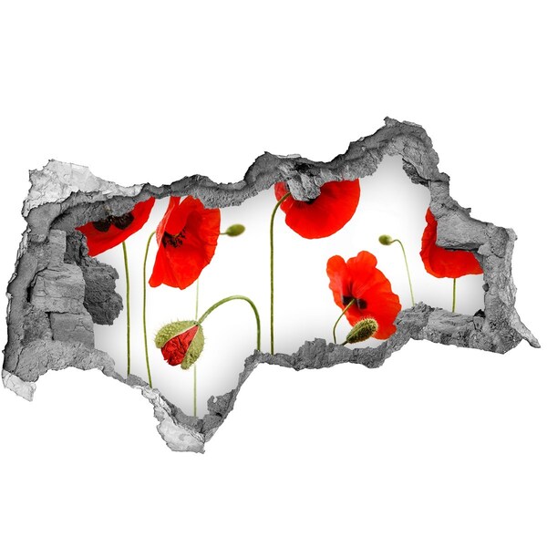 3d lyuk fal dekoráció Pipacsvirágok egy lyukban a falban