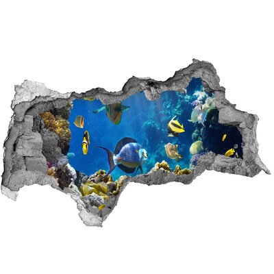 3d lyuk fal dekoráció A korallzátony víz alatti világa