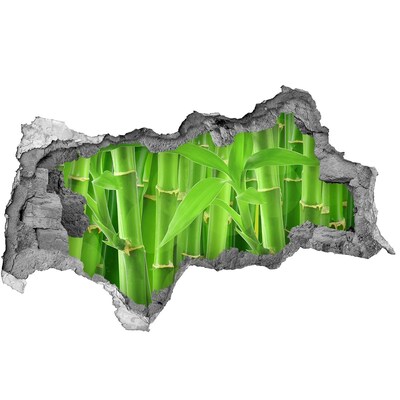 3d lyuk fal dekoráció Zöld bambuszerdő