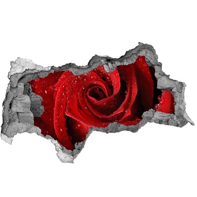 3d lyuk fal dekoráció Virág betonban