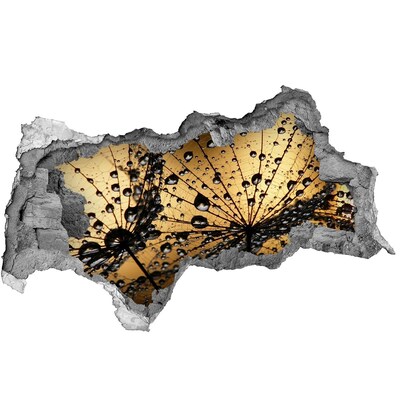 3d lyuk fal dekoráció Cseppek a leveleken