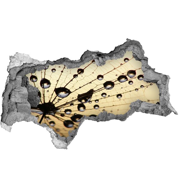 3d lyuk fal dekoráció Vízcseppek egy pillangó szárnyán