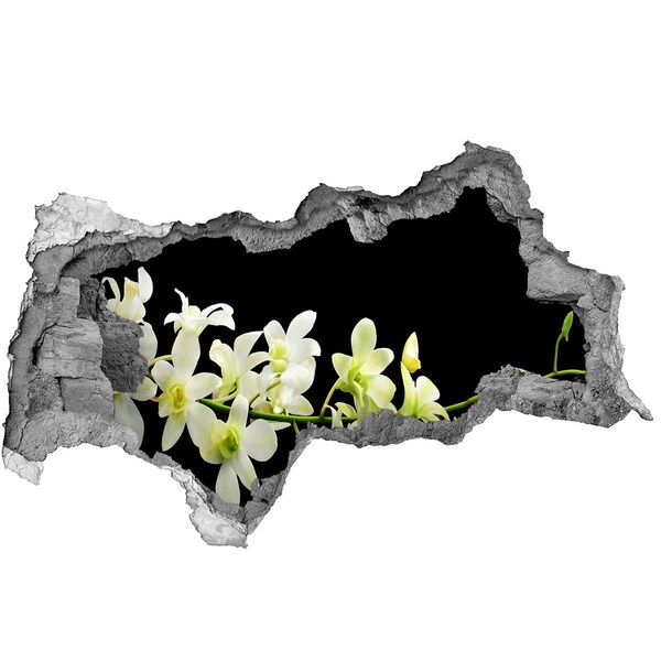 3d lyuk fal dekoráció Orchidea