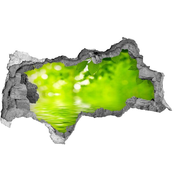 3d lyuk fal dekoráció Zöld oázis vízzel