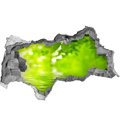 3d lyuk fal dekoráció Zöld oázis vízzel
