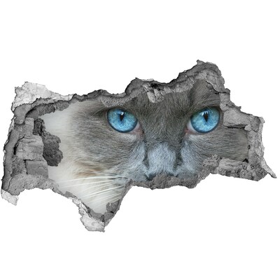 3d lyuk fal dekoráció Cat kék szem