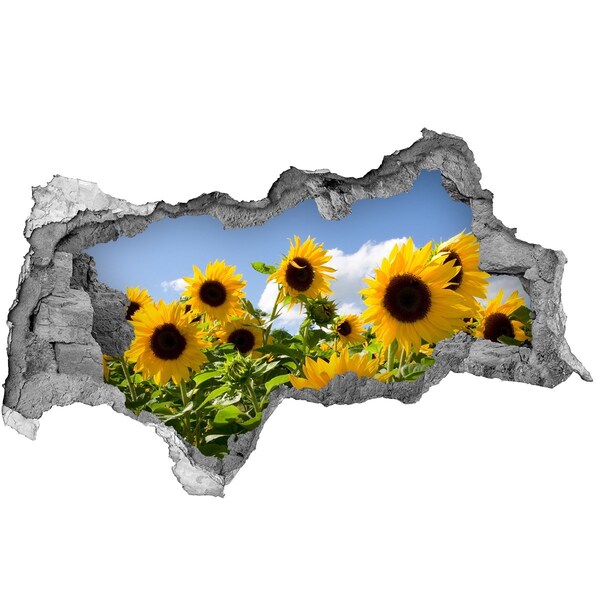 3d lyuk fal dekoráció Napraforgók a nappali fényben