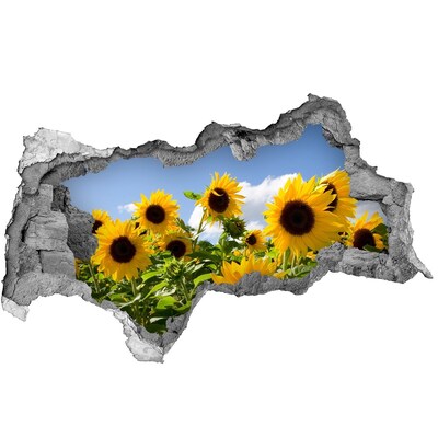 3d lyuk fal dekoráció Napraforgók a nappali fényben