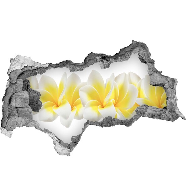 3d lyuk fal dekoráció Plumeria