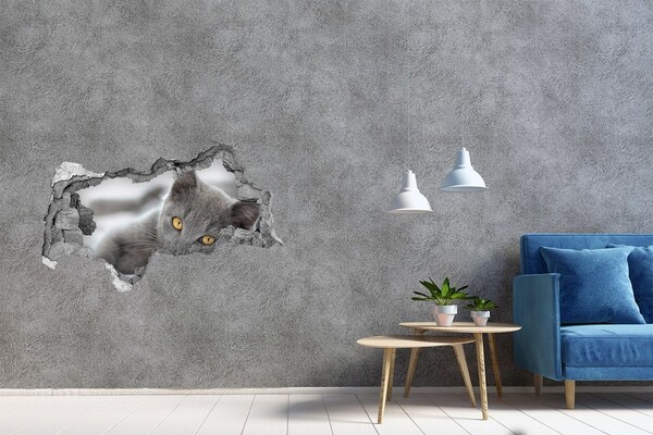 3d lyuk fal dekoráció Szürke macska egy lyukban a falban