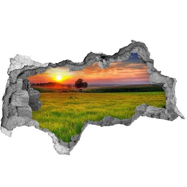 3d lyuk fal dekoráció Naplemente a réten