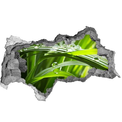 3d lyuk fal dekoráció Zöld rét vízcseppekkel