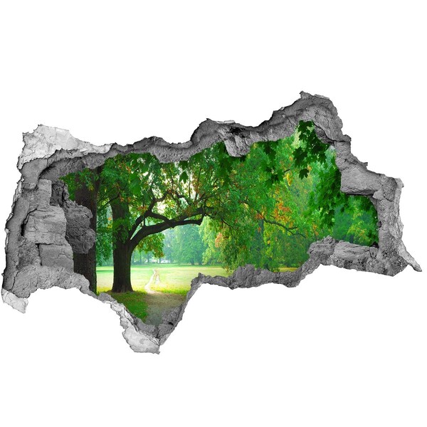 3d lyuk fal dekoráció Zöld park a napsütésben