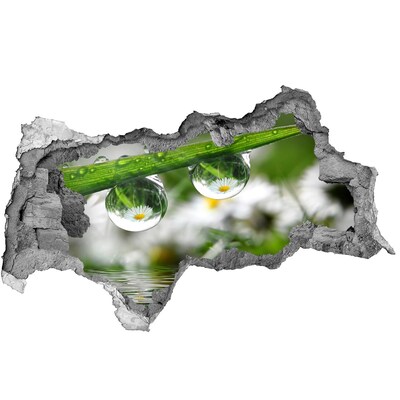 3d lyuk fal dekoráció Virágos oázis vízcseppekkel