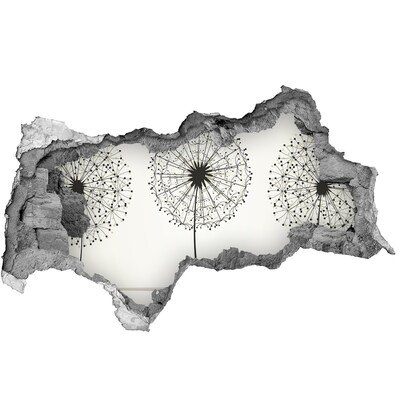 3d lyuk fal dekoráció Pitypangok a falnak