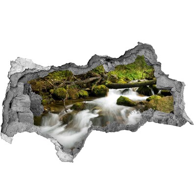 3d lyuk fal dekoráció Zöld patak az erdőben