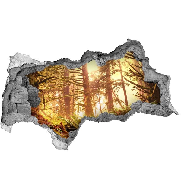 3d lyuk fal dekoráció Erdei oázis a napsütésben