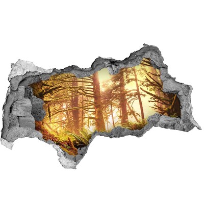 3d lyuk fal dekoráció Erdei oázis a napsütésben