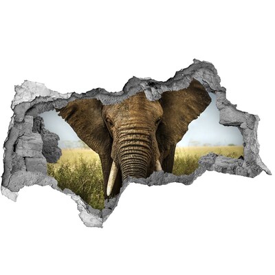 3d lyuk fal dekoráció Elefánt a szavannán
