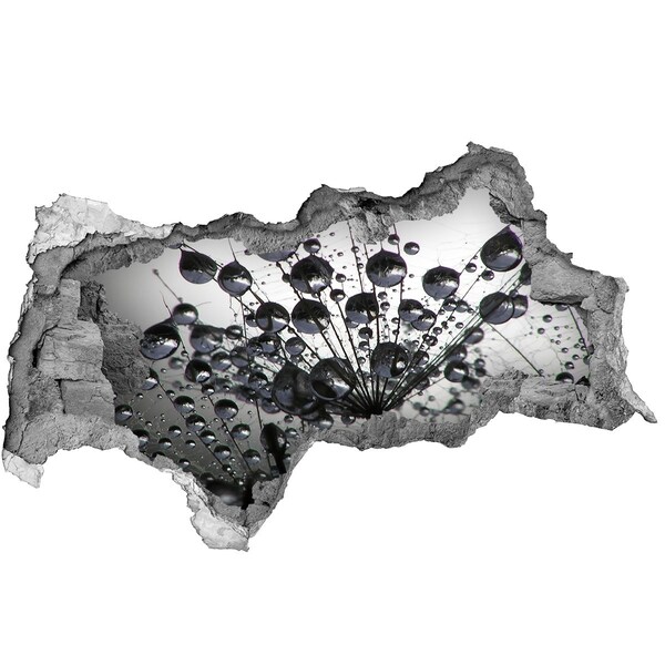 3d lyuk fal dekoráció Vízcseppek a pitypangon