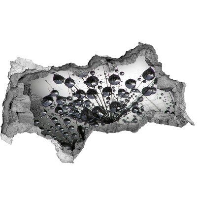 3d lyuk fal dekoráció Vízcseppek a pitypangon