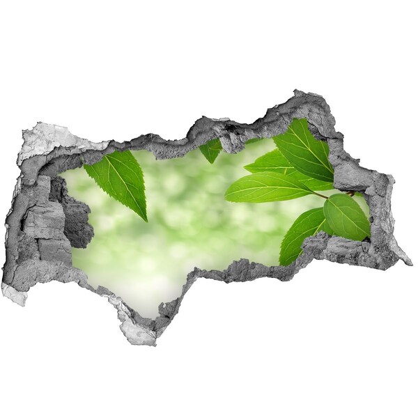 3d lyuk fal dekoráció Egy zöld oázis betonban