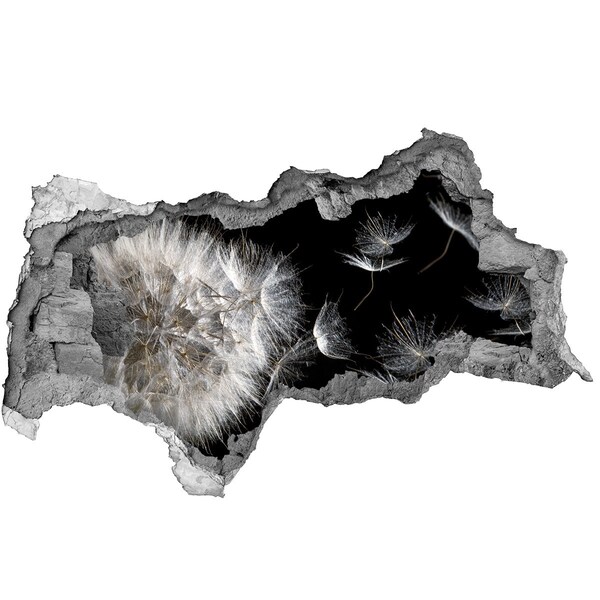 3d lyuk fal dekoráció Pitypangok a fekete űrben