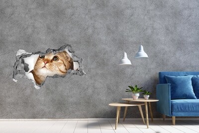 3d lyuk fal dekoráció Macska