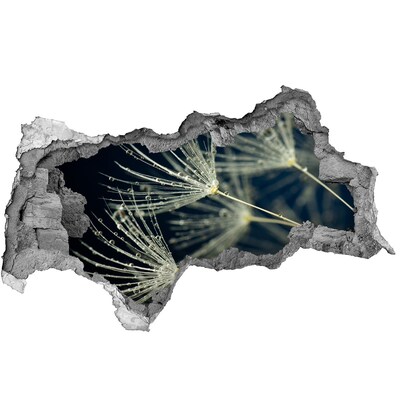 3d lyuk fal dekoráció Pitypang virágok a vízben