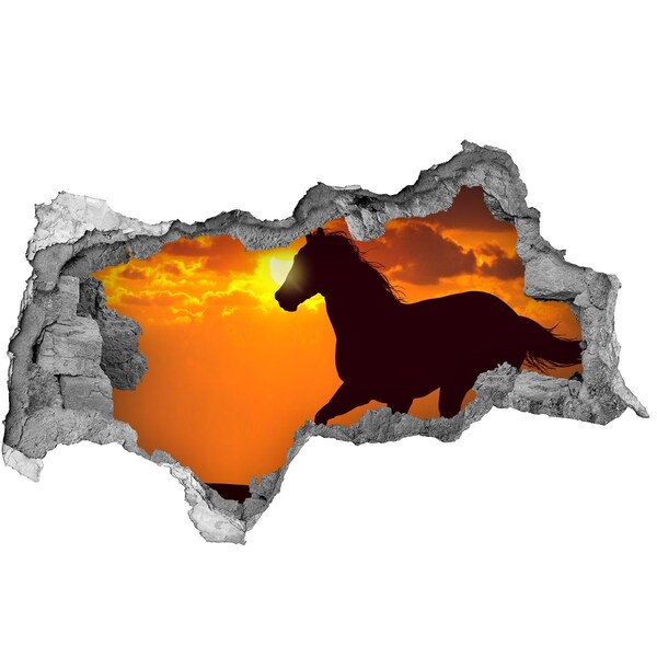 3d lyuk fal dekoráció Ló naplementekor