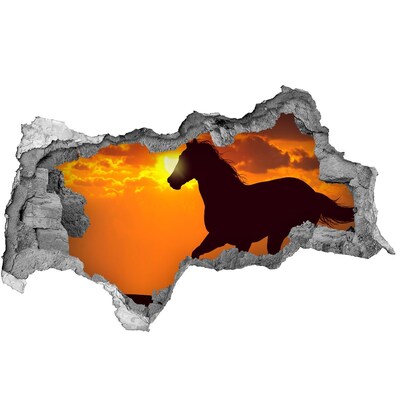 3d lyuk fal dekoráció Ló naplementekor