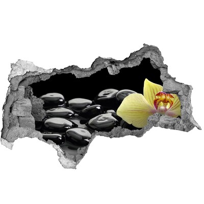 3d lyuk fal dekoráció Pihenjen a gyógyfürdőben