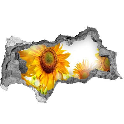 3d lyuk fal dekoráció Virágos álom a fal mögött