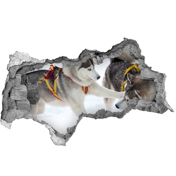 3d lyuk fal dekoráció Husky tél